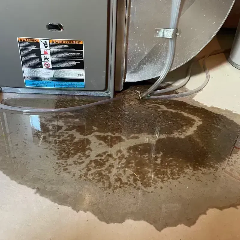 Appliance Leak Cleanup in Chula Vista, CA